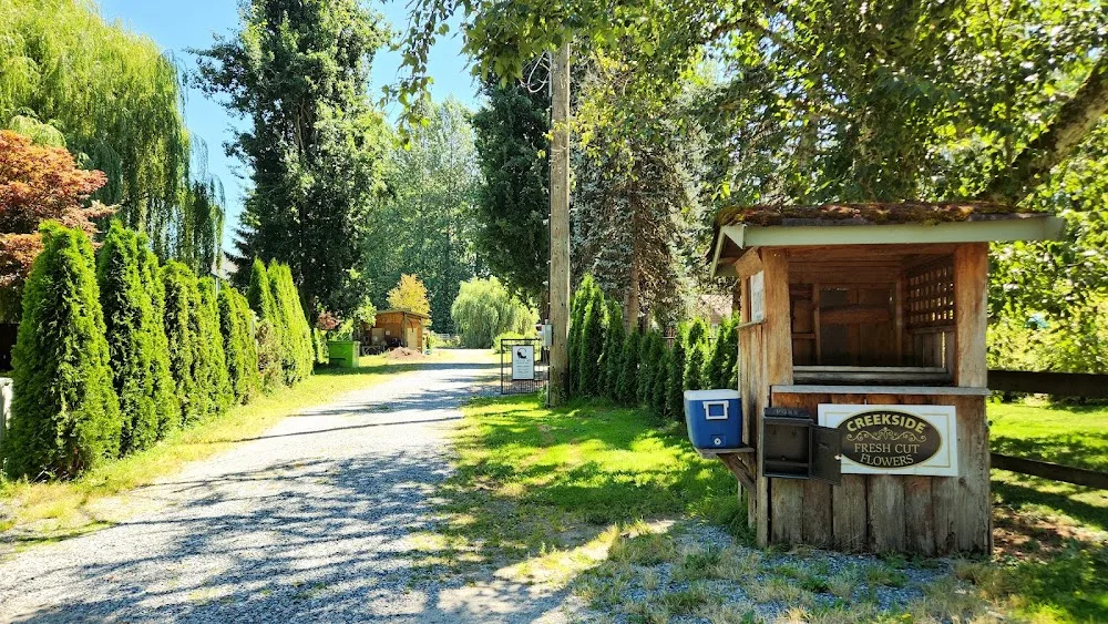Creekside Cats Boarding Hotel - British Columbia pet otel görseli 6