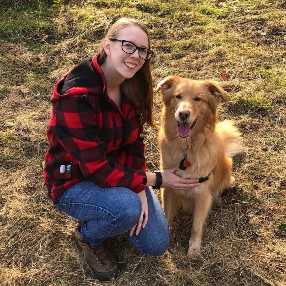 DoggyLand – Dog Daycare, Boarding & Grooming in Cranbrook - British Columbia pet otel görseli 4