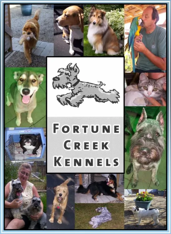 Fortune Creek Kennels - British Columbia pet otel