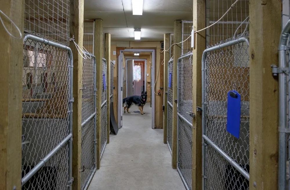 Happy Haven Kennels - British Columbia pet otel görseli 3