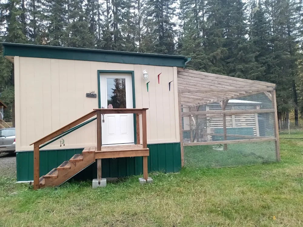 Kalmar Cat Hotel - British Columbia pet otel görseli 3