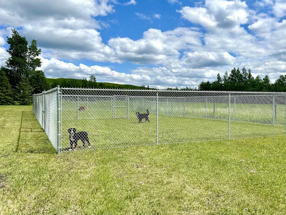 Peace River Kennels - British Columbia pet otel görseli 3