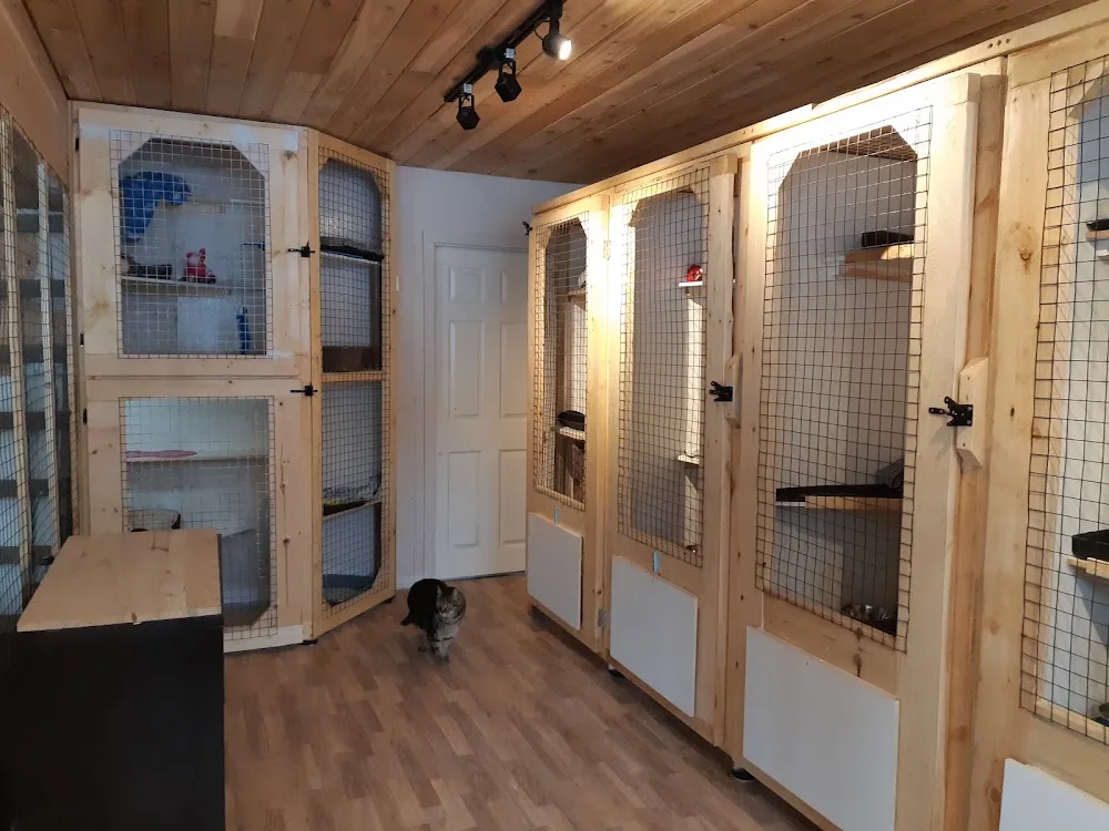 Serenity Meow Cat Resort - British Columbia pet otel