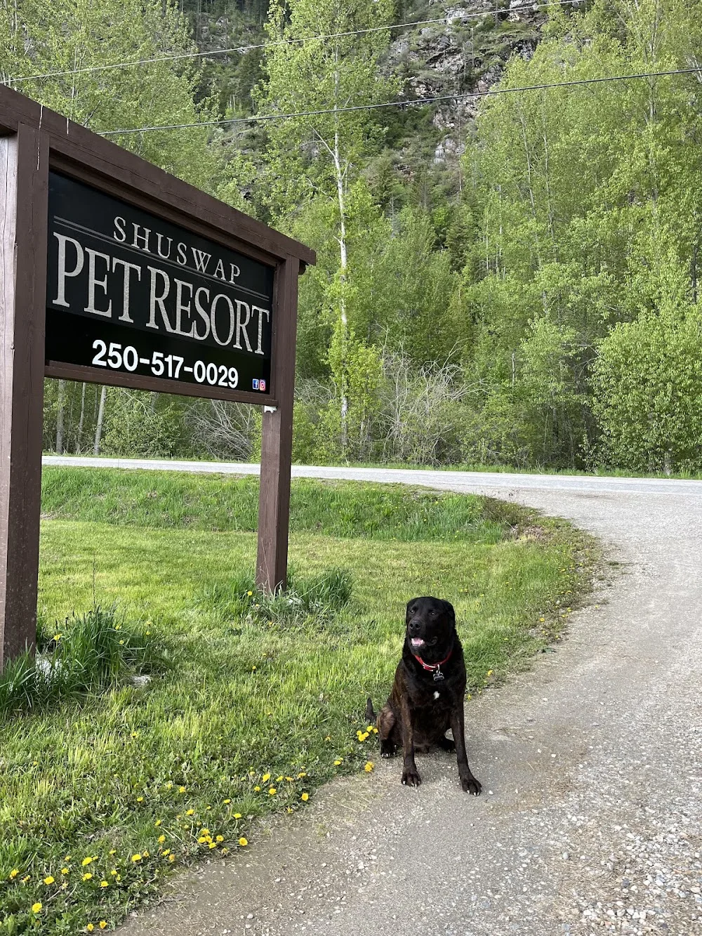 Shuswap Pet Resort - British Columbia pet otel