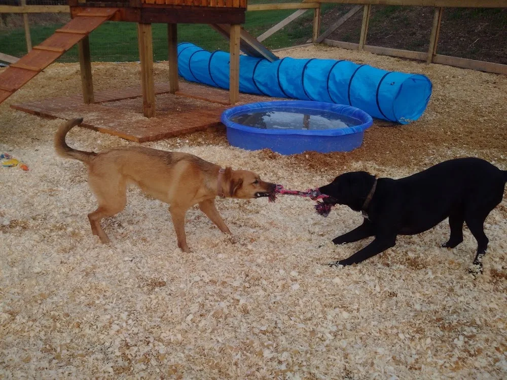 Sinkut Kennels - British Columbia pet otel
