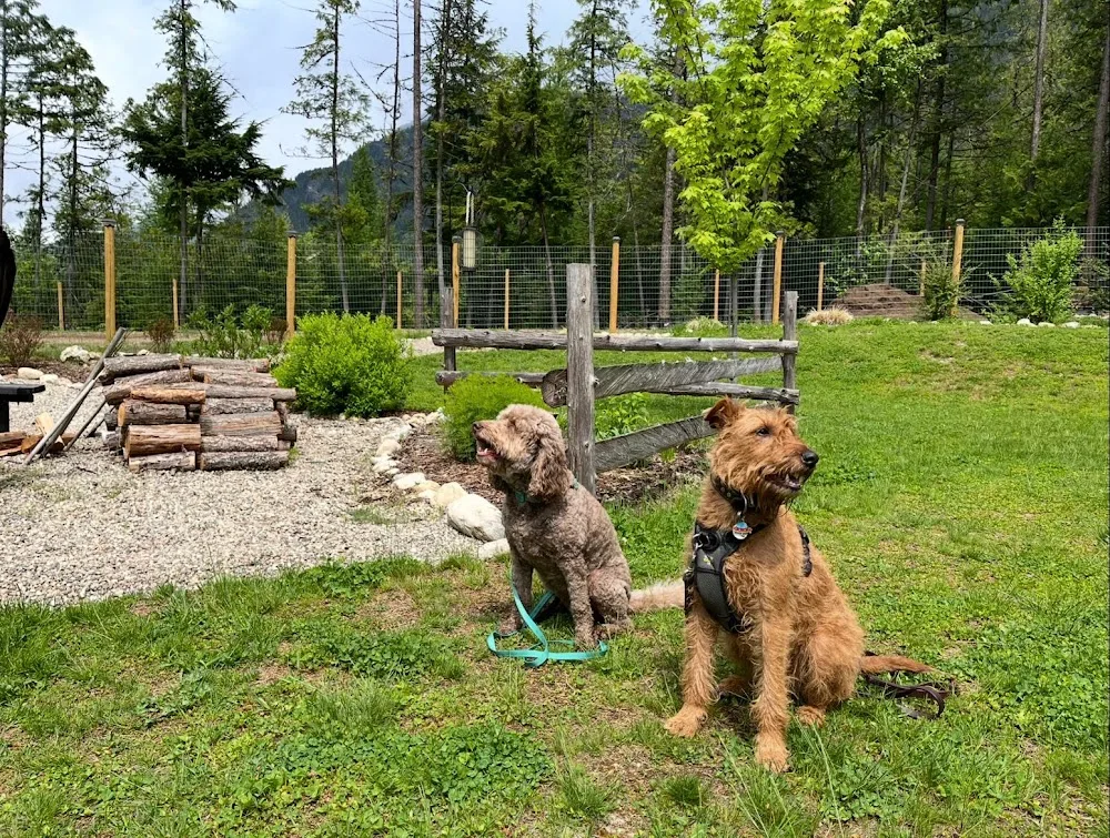 The Parkside Pup - British Columbia pet otel görseli 7