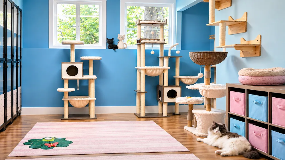 The Scratching Post - British Columbia pet otel görseli 6