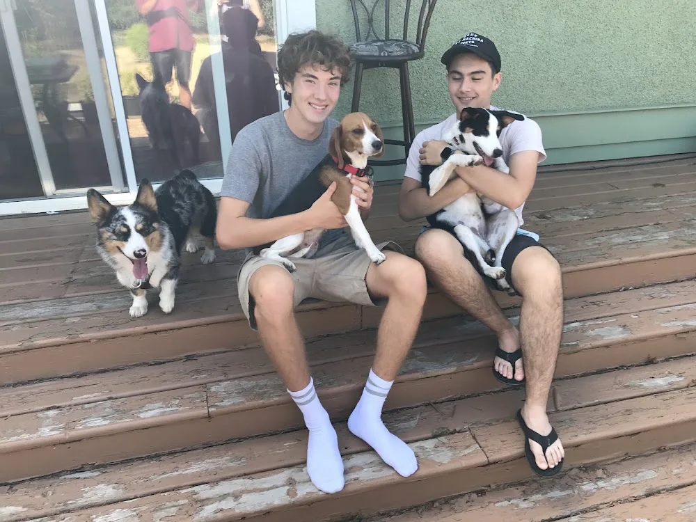 Tom and Lucy's Doggy Vacation - British Columbia pet otel görseli 2