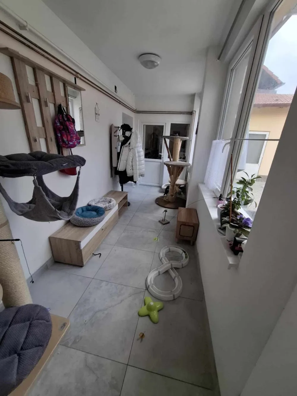 Kočky u Katky, z.s. - Brno-venkov pet otel