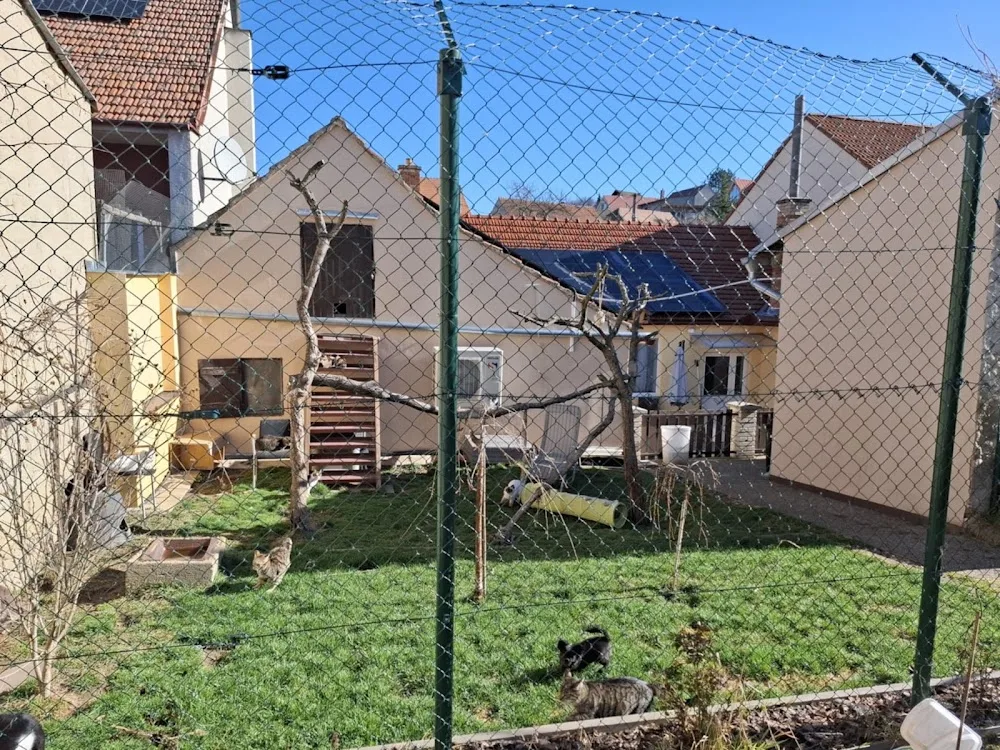 Kočky u Katky, z.s. - Brno-venkov pet otel görseli 3