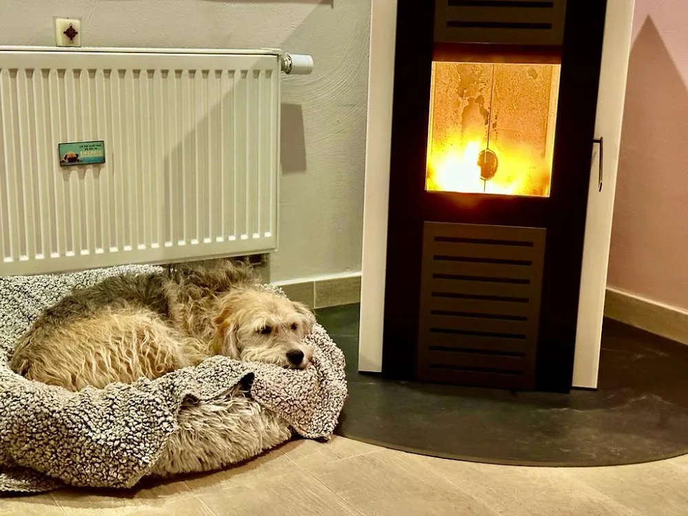 Bandits Hundepension - Brohl-Lützing pet otel görseli 10