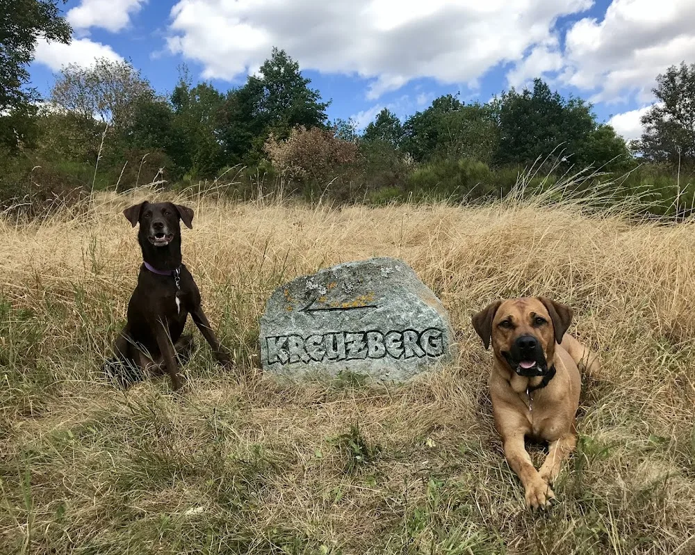DIE HUNDEHÜTTE - Brohl-Lützing pet otel görseli 11