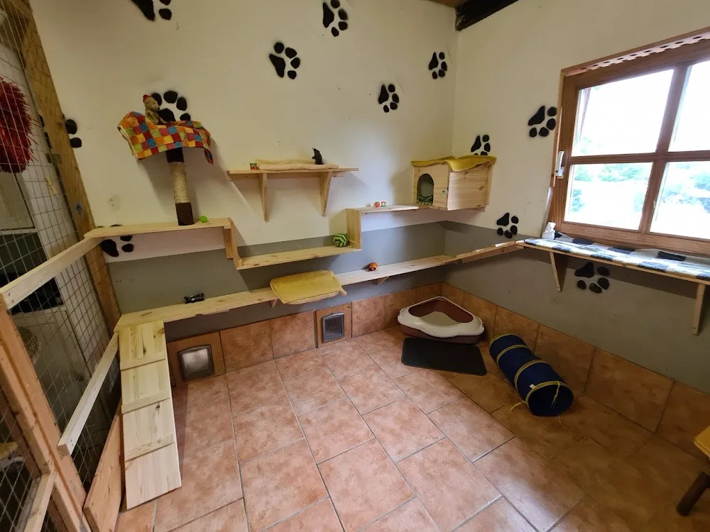 Hopevalley Katzen Hotel - Brohl-Lützing pet otel görseli 10