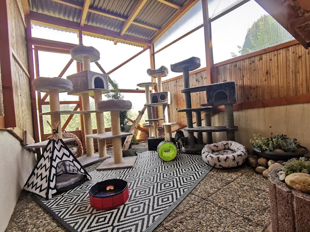 Katzenpension "Das Tierstübchen" - Brohl-Lützing pet otel görseli 10