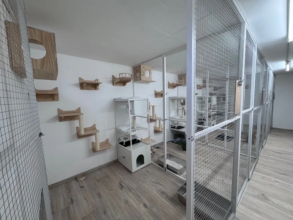 Katzenpension Maifeld / nähe Koblenz - Brohl-Lützing pet otel görseli 15