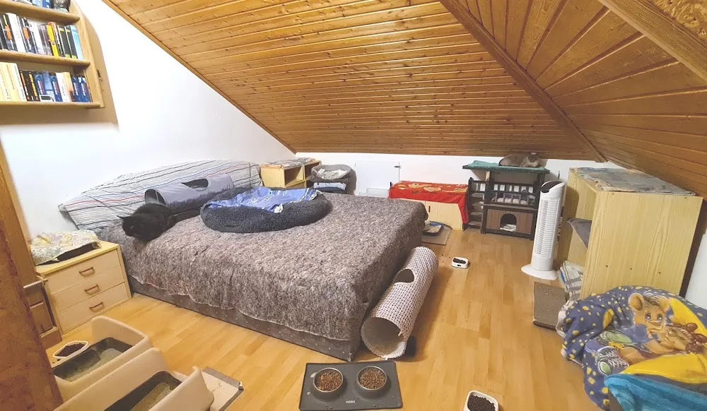 Katzenpension Mietze - Brohl-Lützing pet otel görseli 2