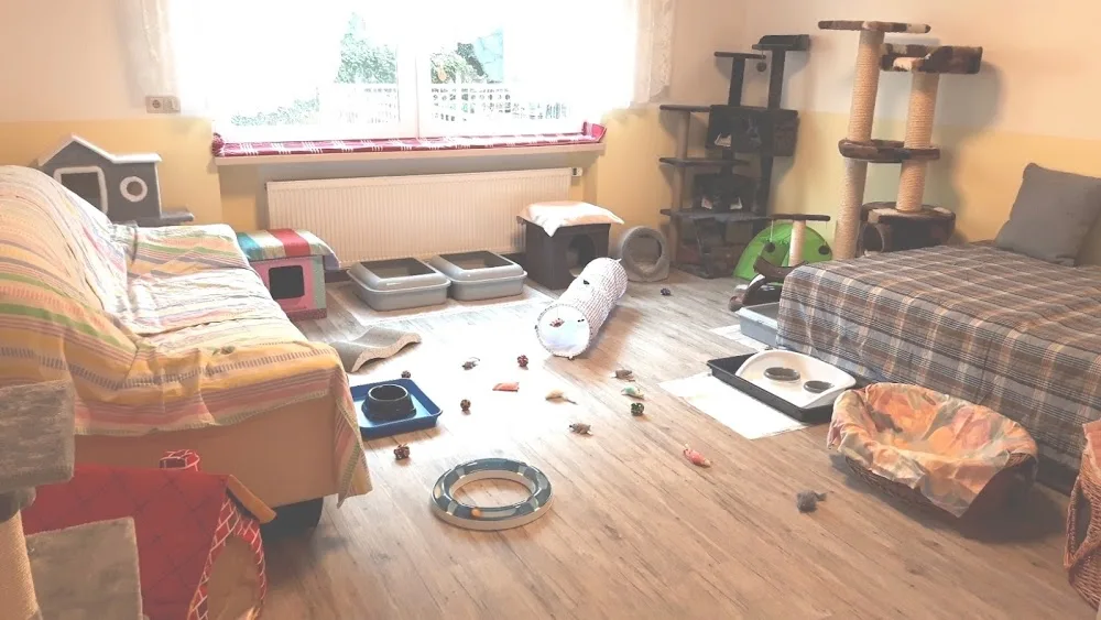 Katzenpension Mietze - Brohl-Lützing pet otel görseli 7