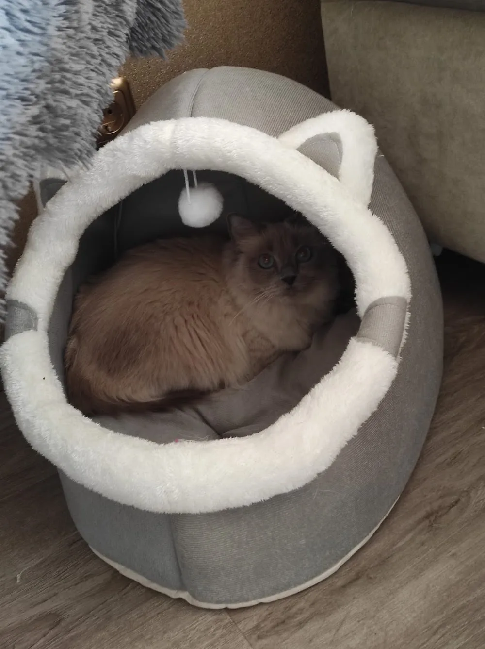 Nana's Tierhotel Katz, Maus &Co - Brohl-Lützing pet otel görseli 3