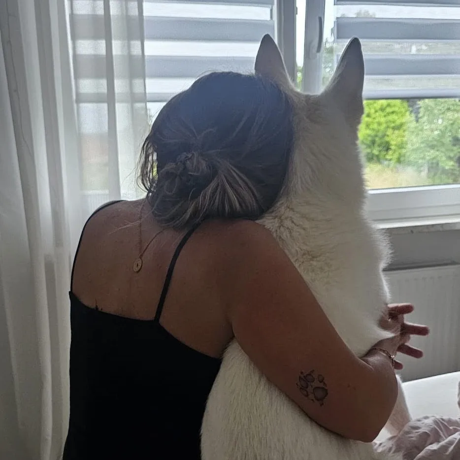 Nenny´s Hundepension - Brohl-Lützing pet otel görseli 5