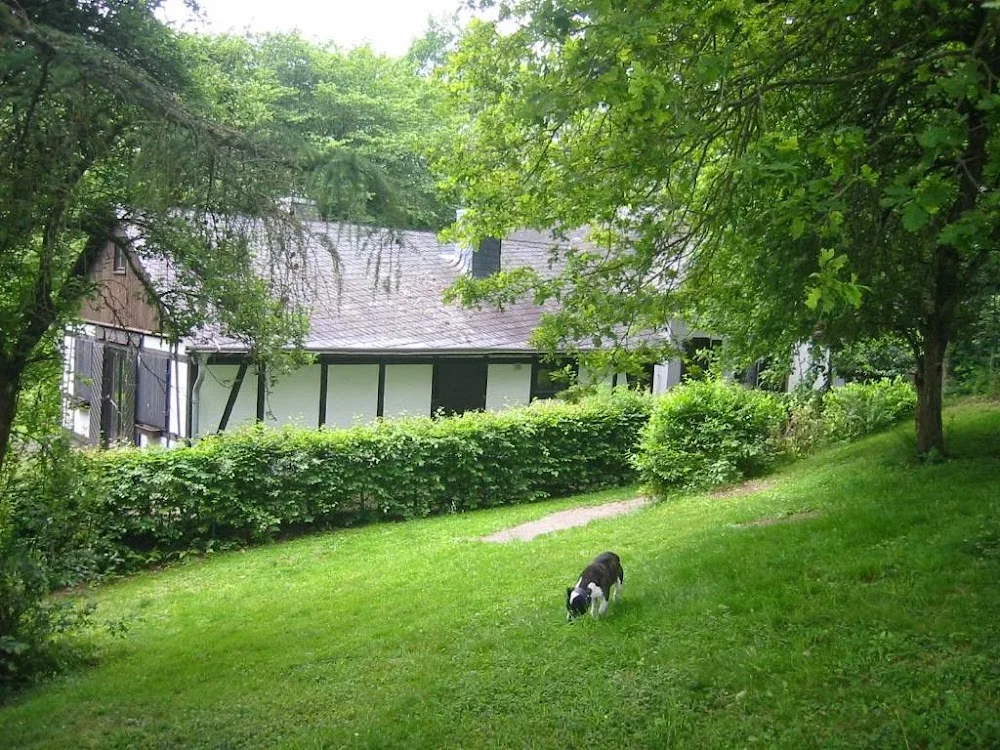 Tierpension Animal-Inn - Brohl-Lützing pet otel