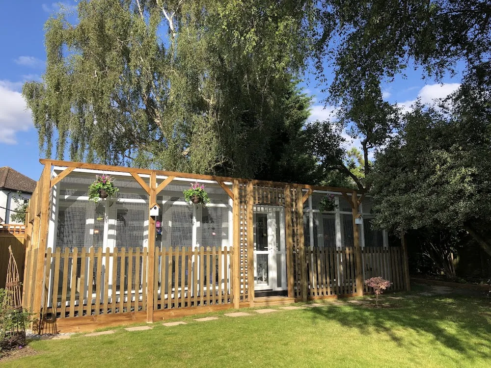 Longcroft Luxury Cat Hotel Orpington / Greater London - Bromley pet otel