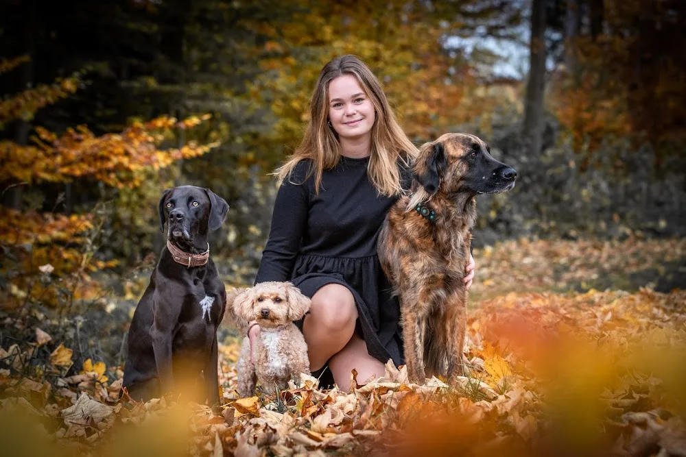 Katis HundeHarmonie - Brunnthal pet otel