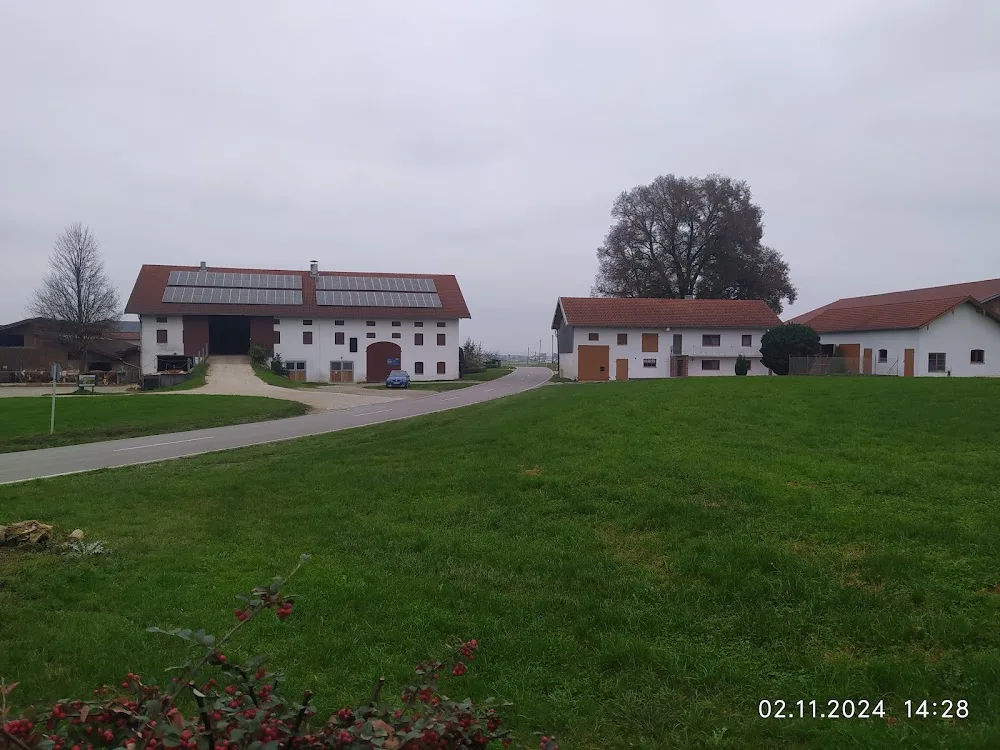 Lucky Dogs & Co. Die Tierpension - Brunnthal pet otel