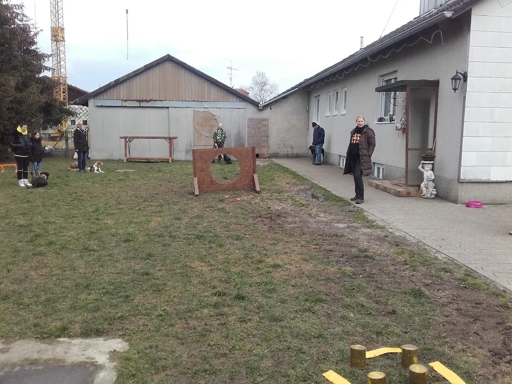 Mobiler Hundetrainer, Tages- und Urlaubsbetreuung, Lucia Schreiber - Brunnthal pet otel görseli 3