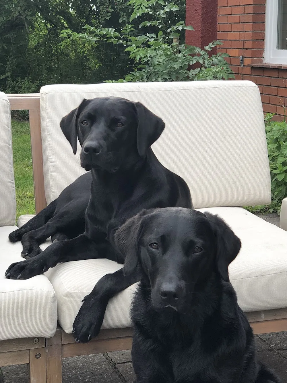 Happy Tailz Hundepension - Bubikon pet otel
