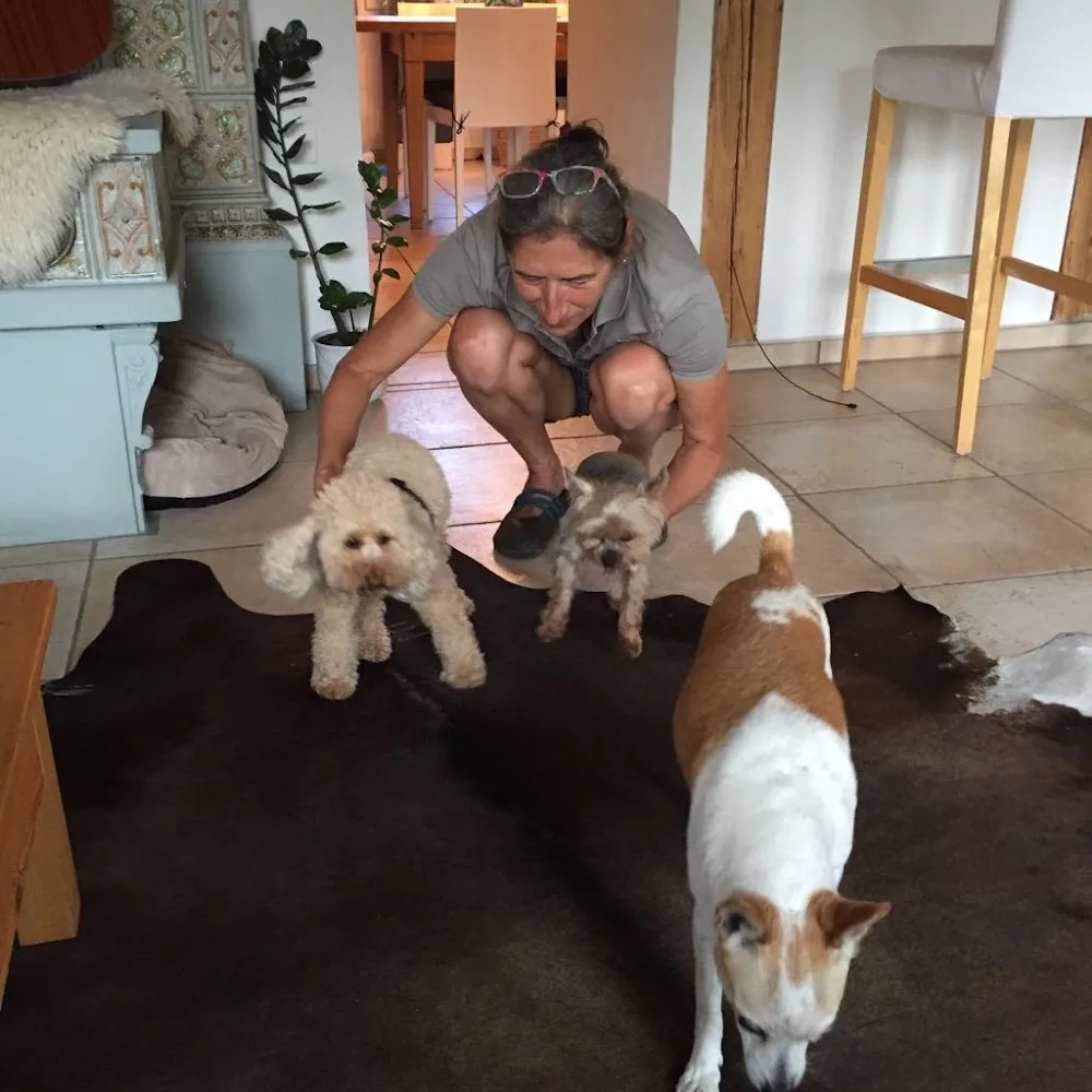 Hundebetreuung- Grueningen - Bubikon pet otel
