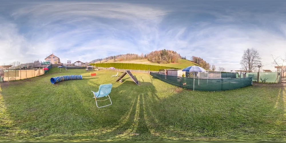 Marty's Doghouse, Feel Good Tierhypnose und Tierbetreuung - Bubikon pet otel görseli 3
