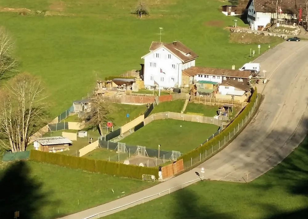 Marty's Doghouse, Feel Good Tierhypnose und Tierbetreuung - Bubikon pet otel görseli 4