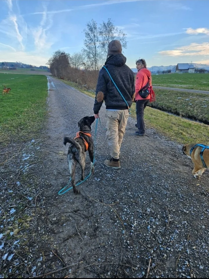 Pfoten-Pfad Hundebetreuung - Bubikon pet otel