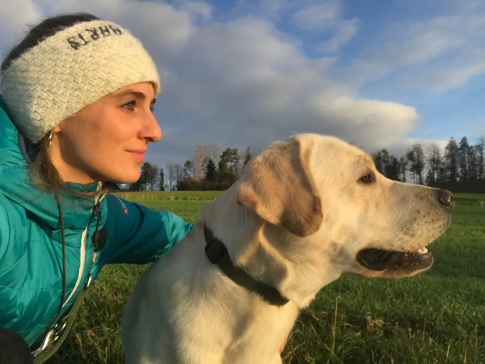 Pfotenhelden by Hundebetreuung Kern - Bubikon pet otel