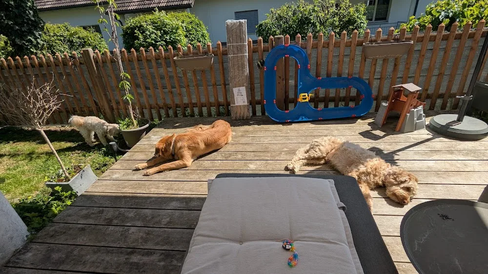 Sarah's Fellfreunde - Bubikon pet otel görseli 3