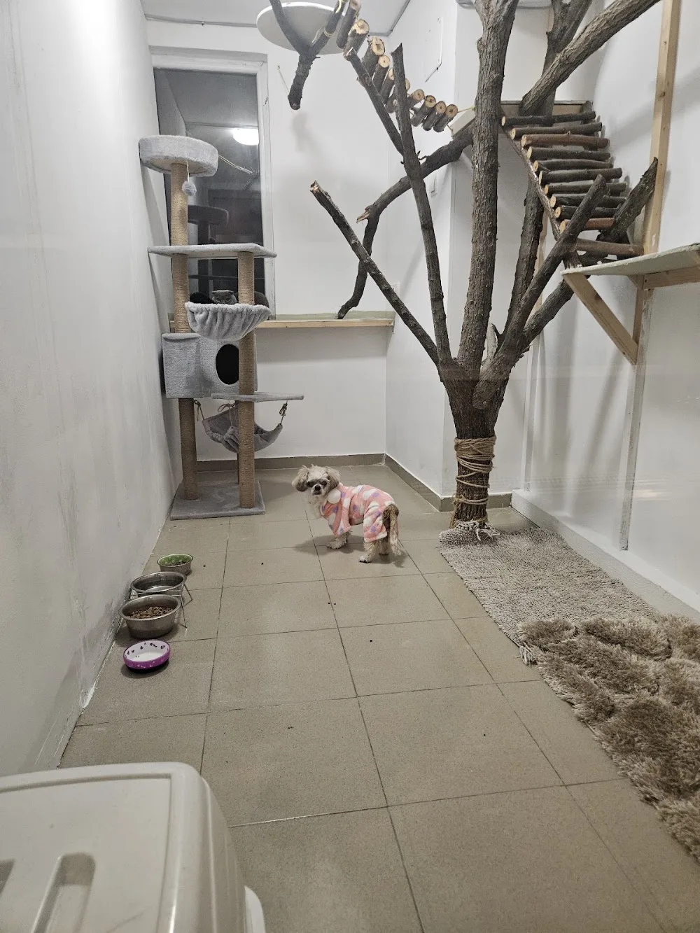 Animal Hotel - Bucharest pet otel