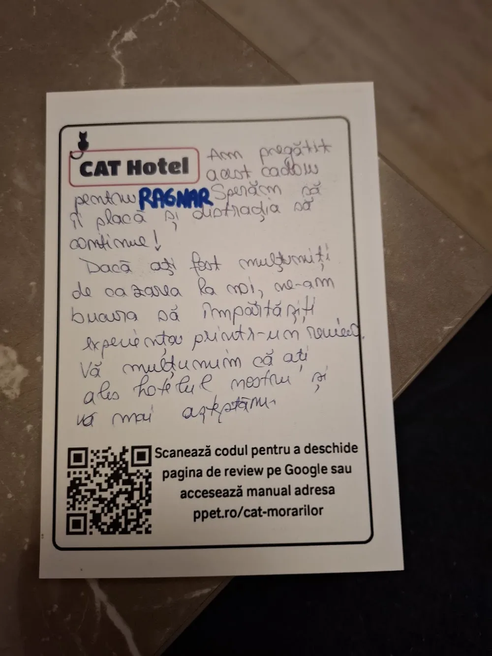 Cat Hotel Morarilor - Hotel pentru pisici - Bucharest pet otel görseli 3