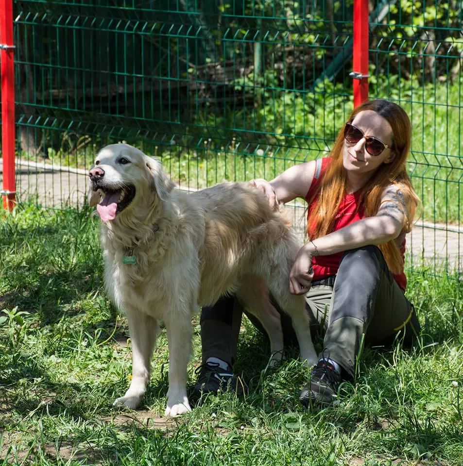 Dog Resort: Acasă cu dresorii - petsitting București - Bucharest pet otel