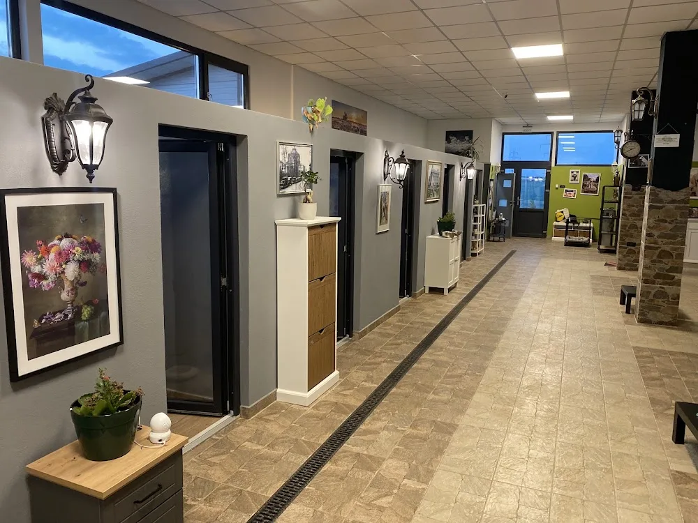 DOGTORS Pet Hotel - Bucharest pet otel