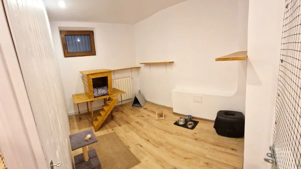 Kumbacat Hotel - Bucharest pet otel görseli 2