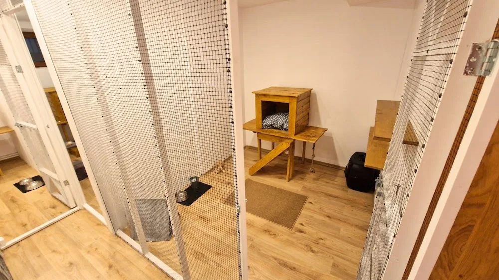 Kumbacat Hotel - Bucharest pet otel görseli 3