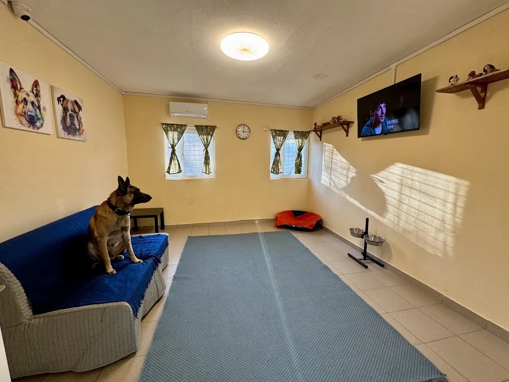 Ringstar Pet Hotel - Bucharest pet otel görseli 3