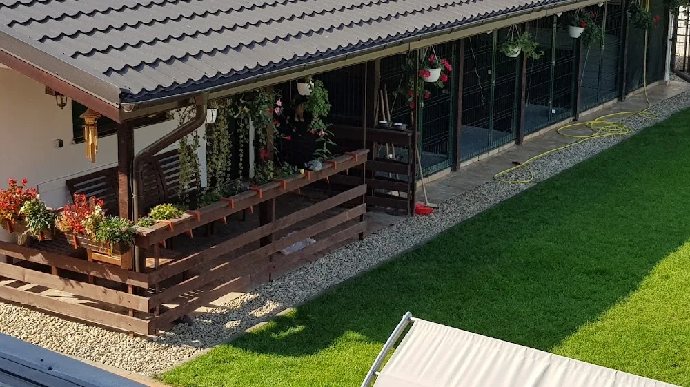 Romland Pet Hotel / Pensiune Canina in Bucuresti / Ilfov - Bucharest pet otel