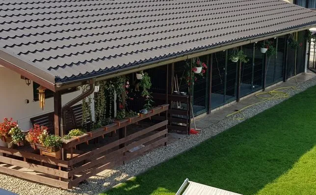 Romland Pet Hotel / Pensiune Canina in Bucuresti / Ilfov - Bucharest pet otel görseli 3