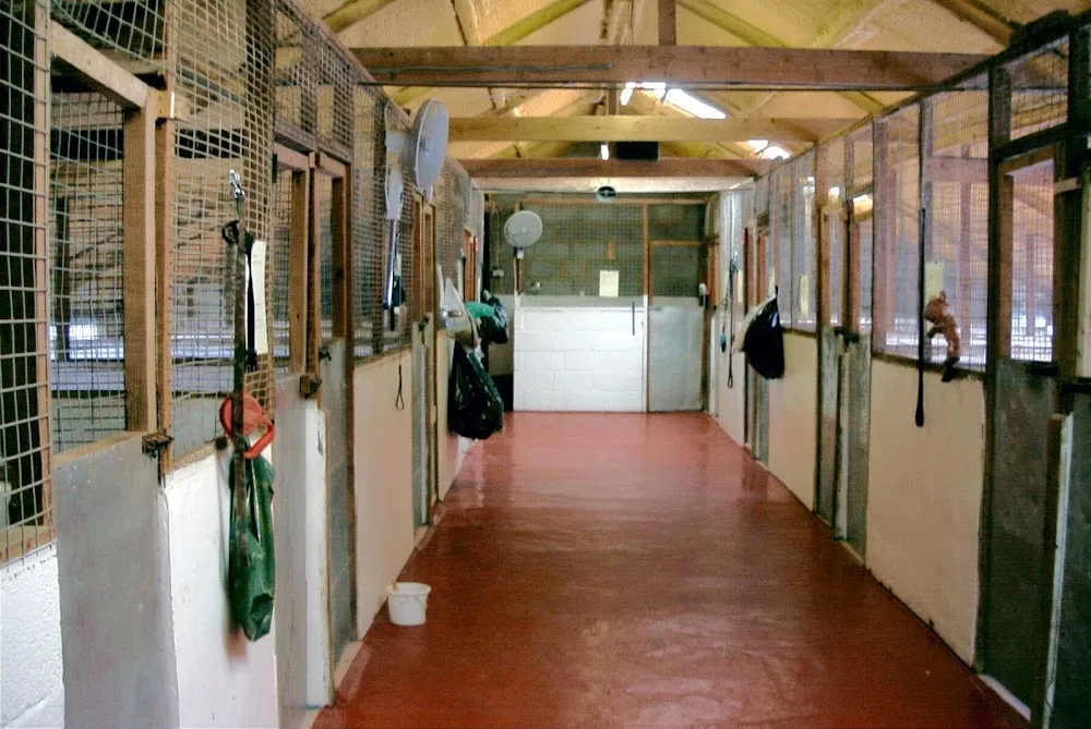 Downlands Kennels and Cattery - Buckinghamshire pet otel görseli 3