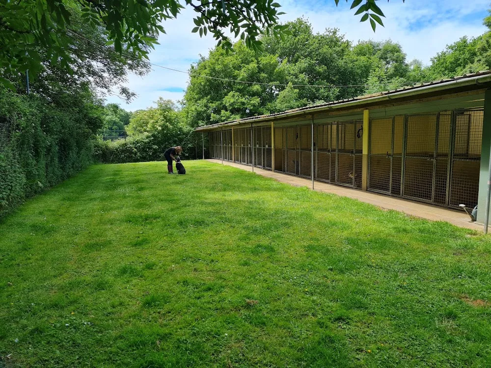 The Hatch Kennels & Cattery - Buckinghamshire pet otel görseli 2