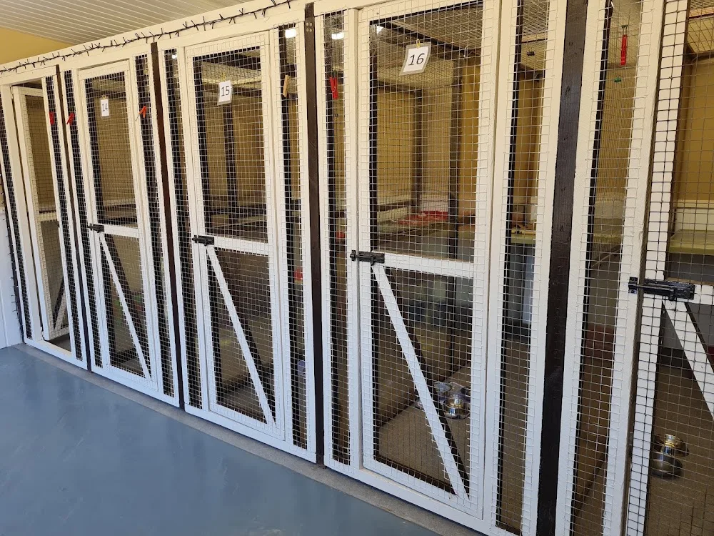 The Hatch Kennels & Cattery - Buckinghamshire pet otel görseli 3