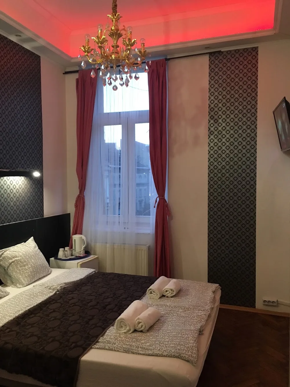 Budapest Three Cats Hostel - Budapest pet otel görseli 9
