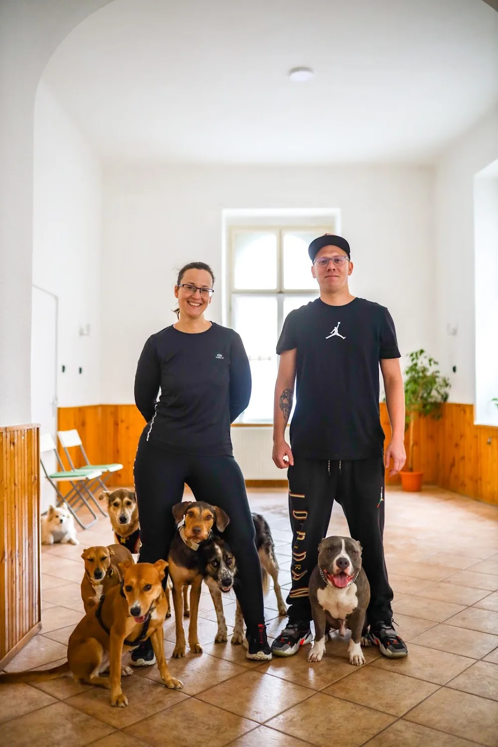 DobDog kutyanapközi iskola & spa - Budapest pet otel görseli 11
