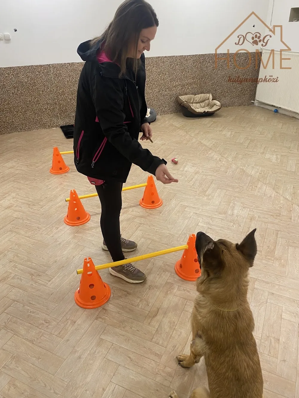 DogHome Kutyás Napközi - Budapest pet otel görseli 6